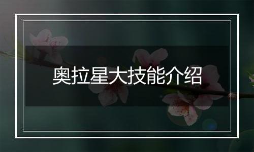 奥拉星大技能介绍