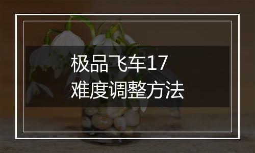 极品飞车17难度调整方法