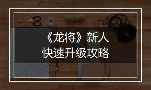 《龙将》新人快速升级攻略