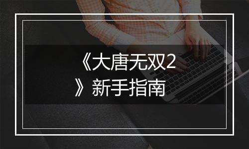 《大唐无双2》新手指南