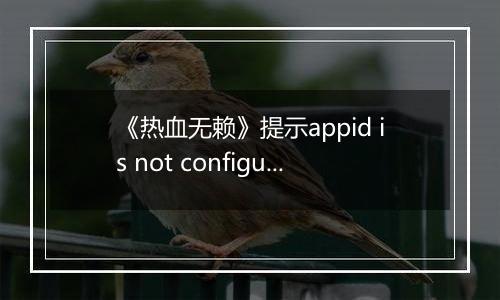 《热血无赖》提示appid is not configured错误的解决方法