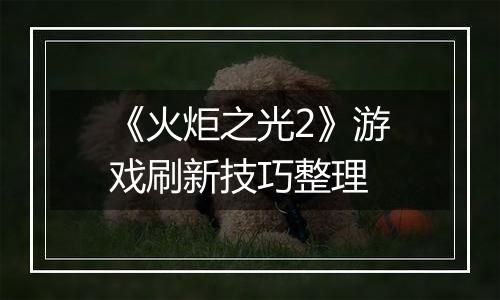 《火炬之光2》游戏刷新技巧整理