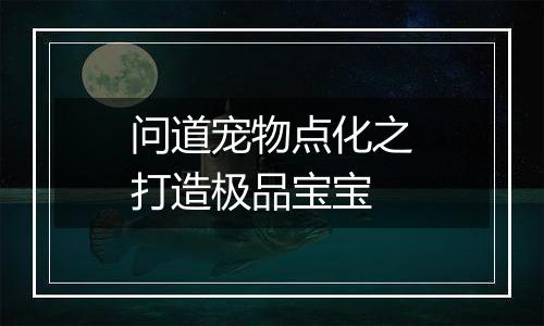 问道宠物点化之打造极品宝宝