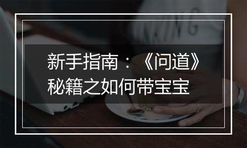 新手指南：《问道》秘籍之如何带宝宝