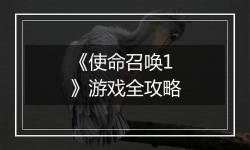 《使命召唤1》游戏全攻略