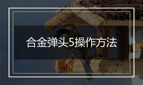 合金弹头5操作方法