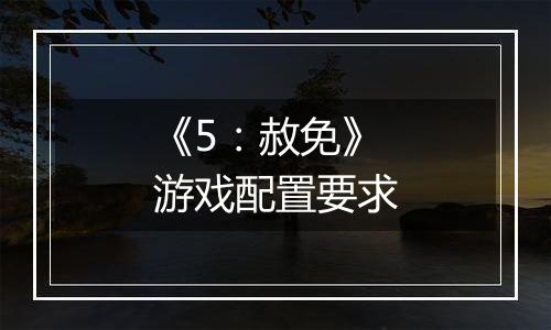 《5：赦免》游戏配置要求