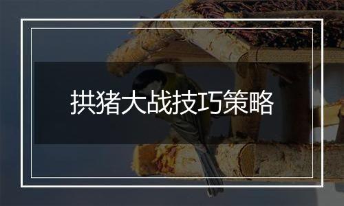 拱猪大战技巧策略