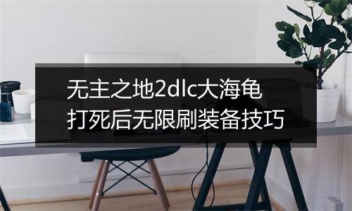 无主之地2dlc大海龟打死后无限刷装备技巧