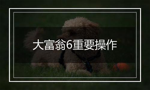 大富翁6重要操作