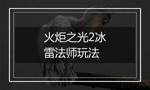 火炬之光2冰雷法师玩法