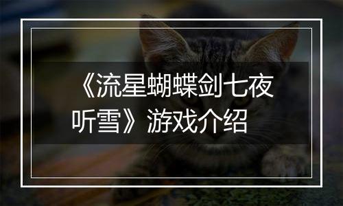 《流星蝴蝶剑七夜听雪》游戏介绍