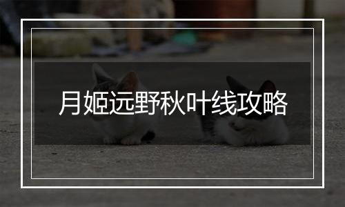 月姬远野秋叶线攻略