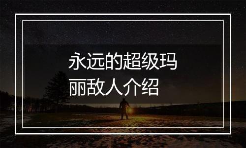 永远的超级玛丽敌人介绍