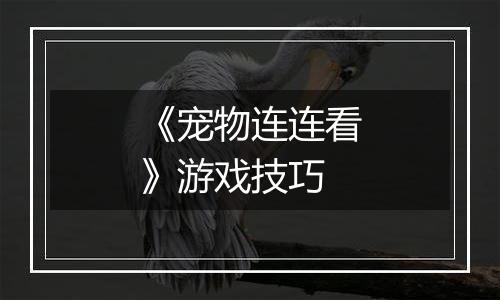 《宠物连连看》游戏技巧