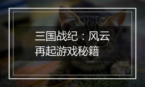 三国战纪：风云再起游戏秘籍