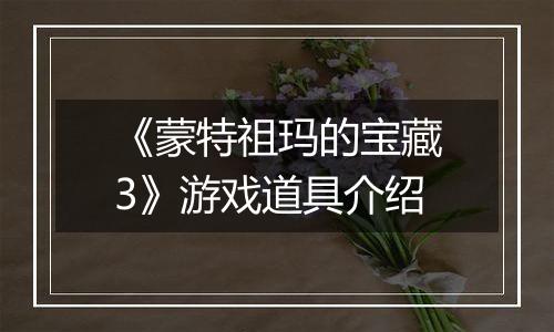 《蒙特祖玛的宝藏3》游戏道具介绍