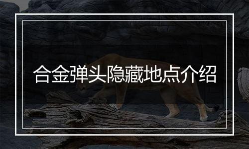 合金弹头隐藏地点介绍