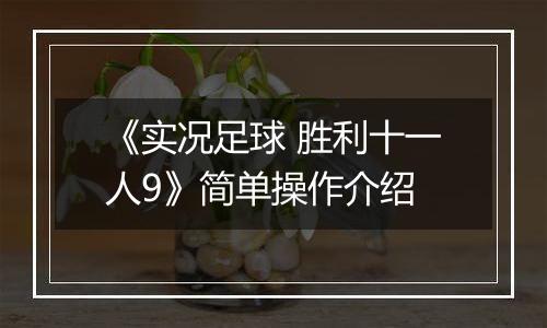 《实况足球 胜利十一人9》简单操作介绍