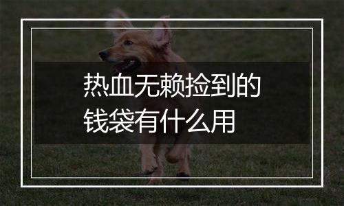 热血无赖捡到的钱袋有什么用