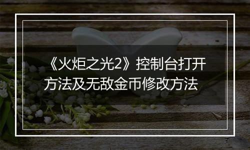 《火炬之光2》控制台打开方法及无敌金币修改方法