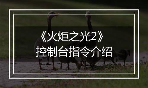 《火炬之光2》控制台指令介绍