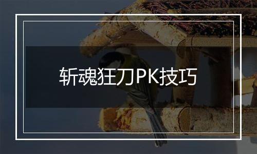 斩魂狂刀PK技巧