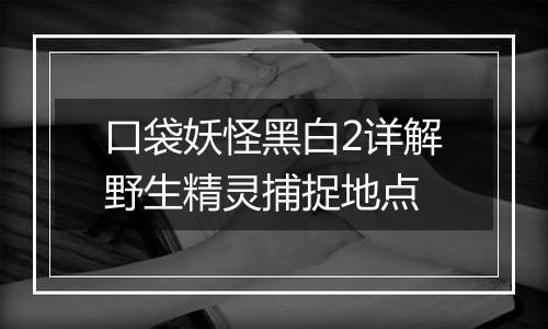 口袋妖怪黑白2详解野生精灵捕捉地点