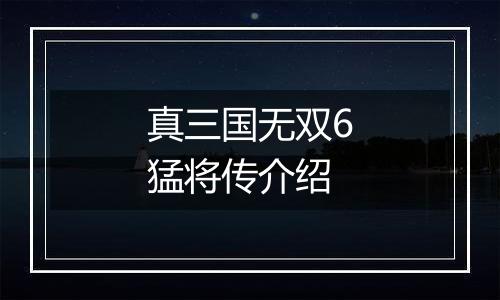 真三国无双6猛将传介绍