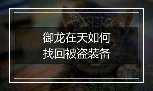 御龙在天如何找回被盗装备