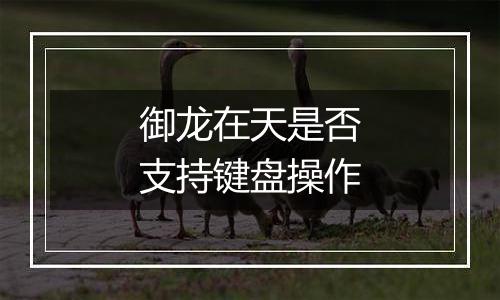 御龙在天是否支持键盘操作