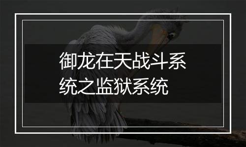御龙在天战斗系统之监狱系统