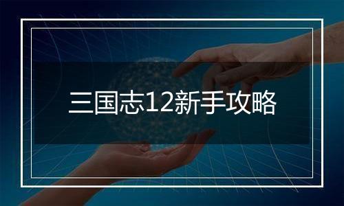 三国志12新手攻略