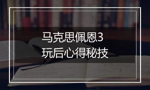 马克思佩恩3玩后心得秘技