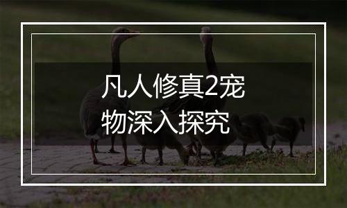 凡人修真2宠物深入探究