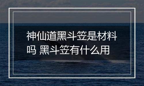 神仙道黑斗笠是材料吗 黑斗笠有什么用