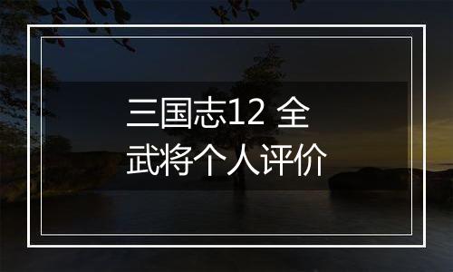 三国志12 全武将个人评价