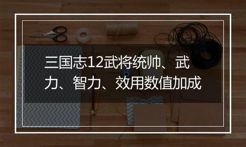 三国志12武将统帅、武力、智力、效用数值加成
