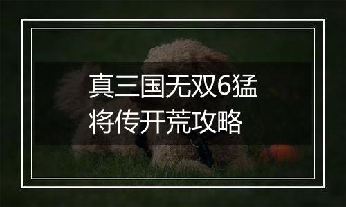 真三国无双6猛将传开荒攻略