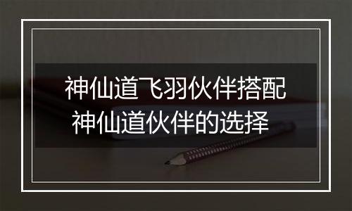 神仙道飞羽伙伴搭配 神仙道伙伴的选择