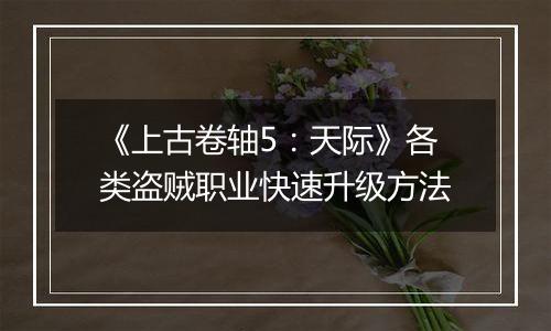 《上古卷轴5：天际》各类盗贼职业快速升级方法