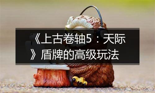 《上古卷轴5：天际》盾牌的高级玩法