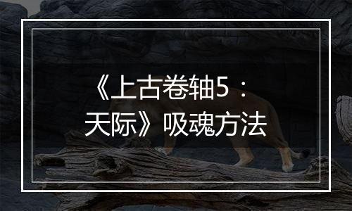 《上古卷轴5：天际》吸魂方法