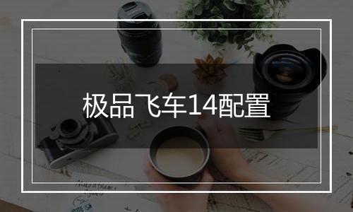 极品飞车14配置