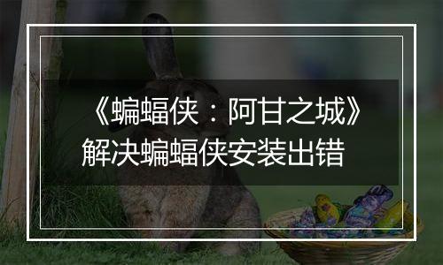 《蝙蝠侠：阿甘之城》解决蝙蝠侠安装出错