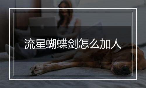 流星蝴蝶剑怎么加人