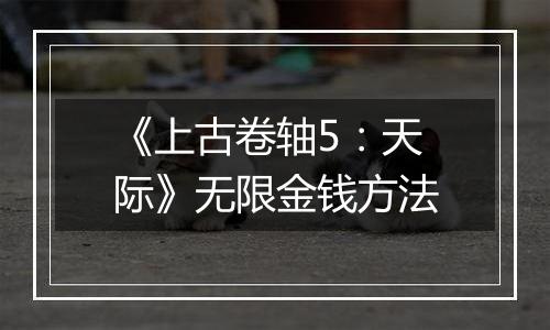 《上古卷轴5：天际》无限金钱方法