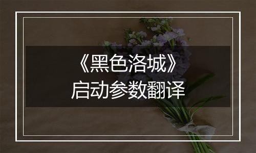 《黑色洛城》启动参数翻译