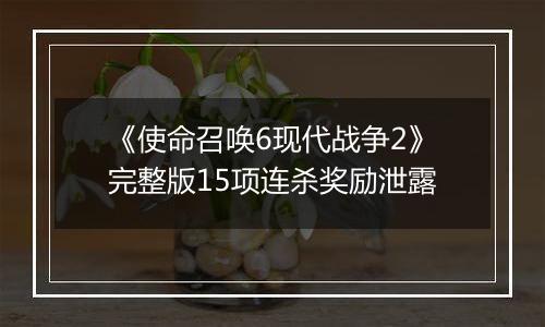 《使命召唤6现代战争2》完整版15项连杀奖励泄露