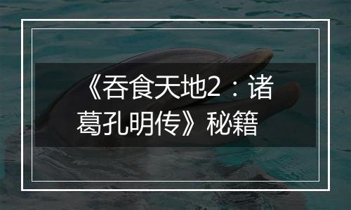 《吞食天地2：诸葛孔明传》秘籍